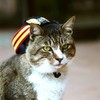 りょうま駅長