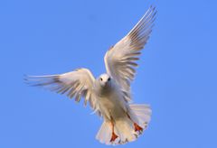 _DSC6204_01