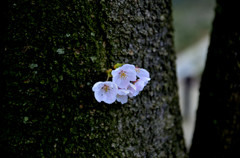 _DSC0218_01