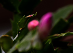 _DSC0445