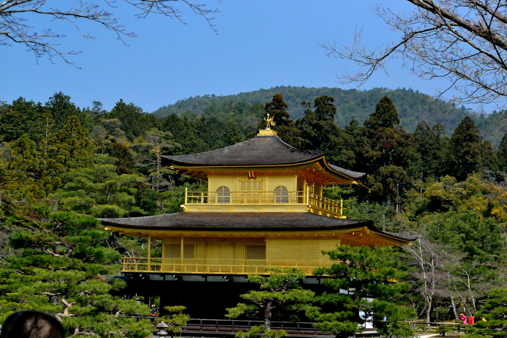 金閣寺