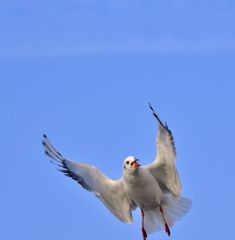 _DSC6121