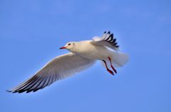 _DSC6128