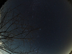 星空の下