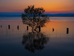 春の夕暮れ