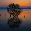 春の夕暮れ