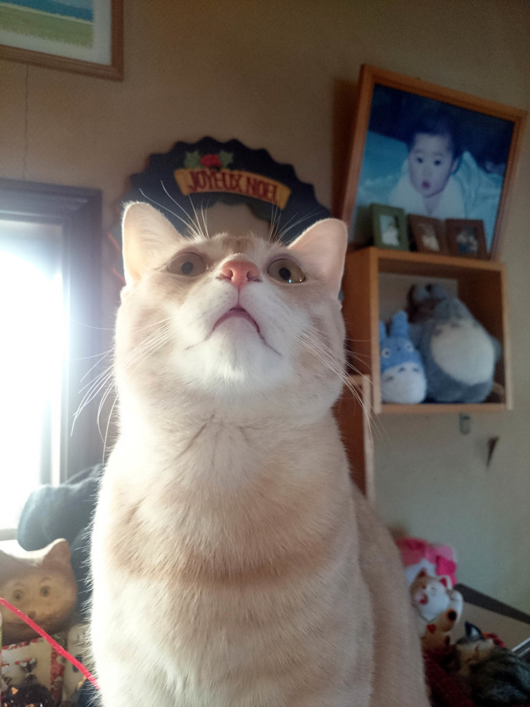 何を見てるの