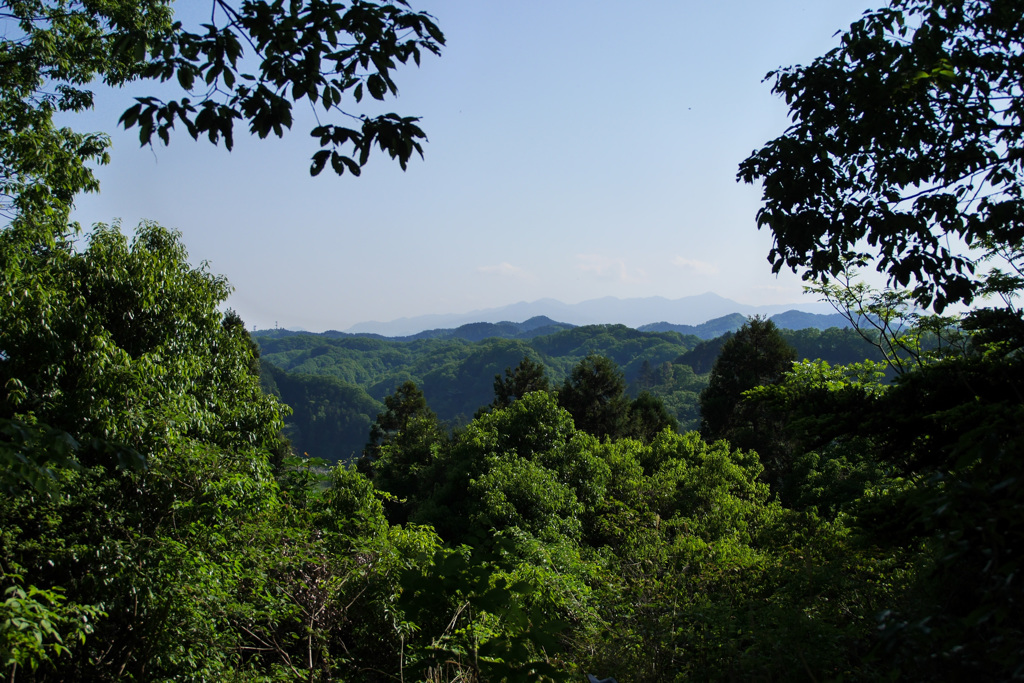 高尾・初沢山より望む