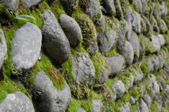 苔むす石垣