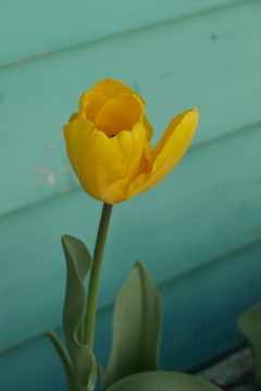 1200311