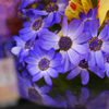 ブルーの花束