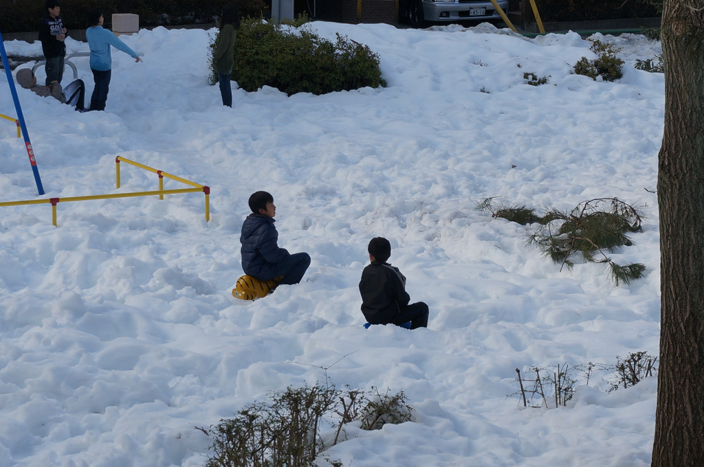 大雪の八王子・狭間公園2014