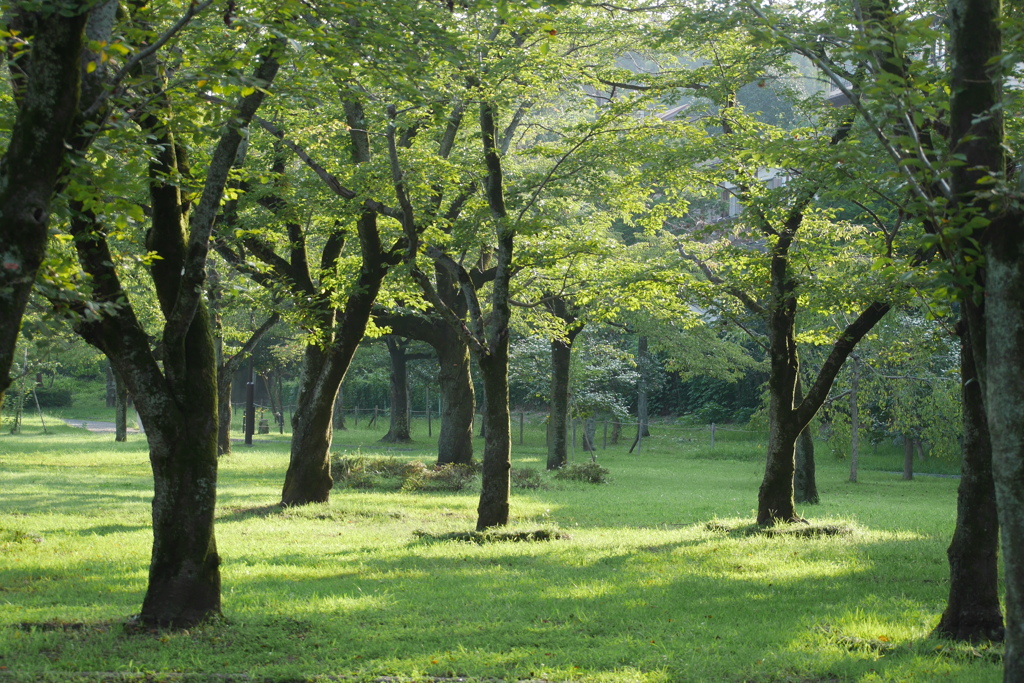 陵南公園