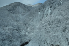 岩手の山中