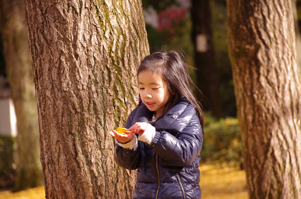 イチョウで遊ぶ