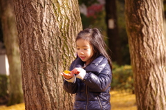 イチョウで遊ぶ