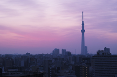 TokyoMorning