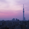TokyoMorning