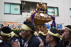 Kakifus