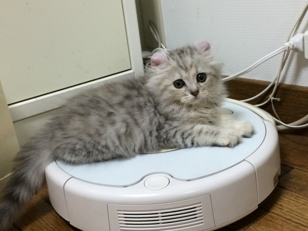 私専用タクシー！