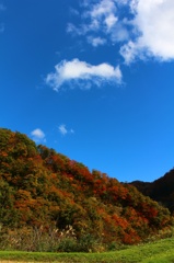 秋晴れ