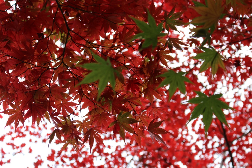 待って〜