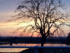 夕焼け小焼け