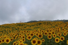 太陽はどこ？