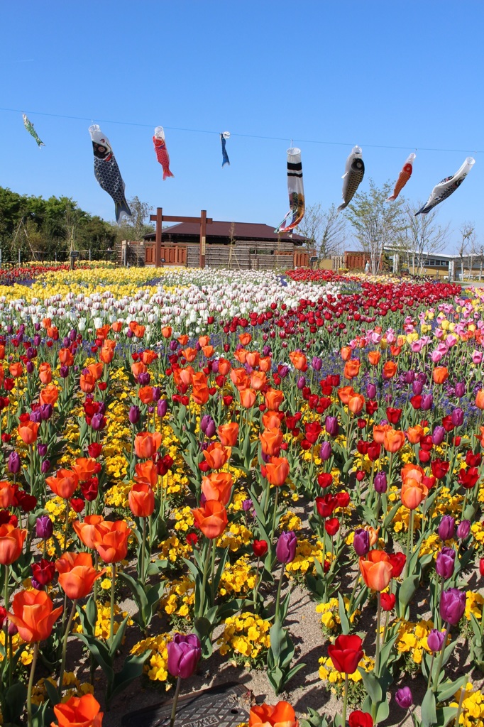 5月