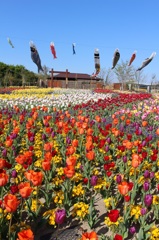 5月
