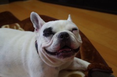 はじめまして。 はじめまして。