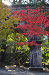 南禅寺の紅葉