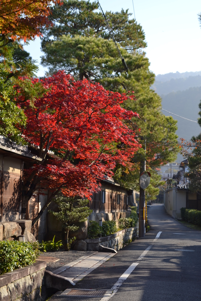 京の裏道にて