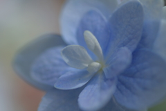 you are beautiful but cold-hearted