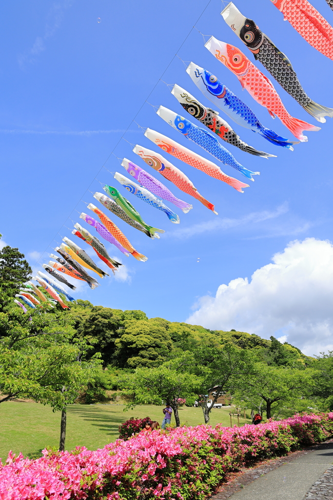 風薫る5月