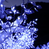 雪の華