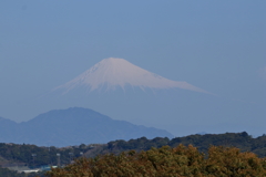 霞富士