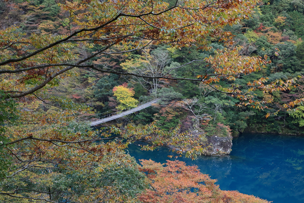 夢の吊り橋