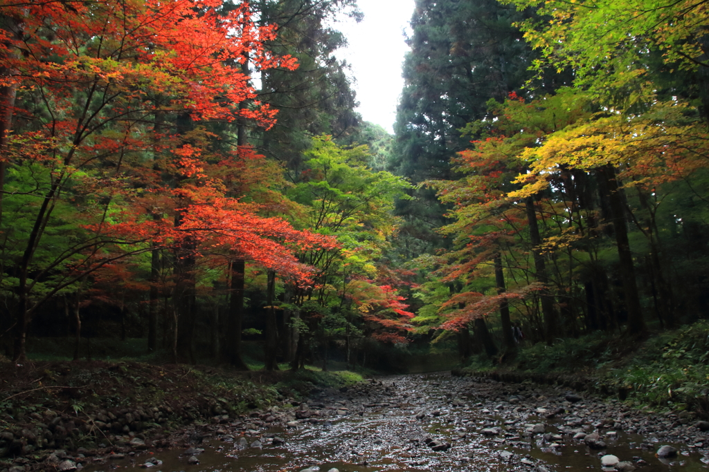 その奥にあった絶景