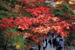 香嵐渓の紅葉狩り