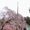 間に合いました