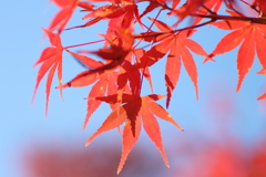 てのひらを太陽に