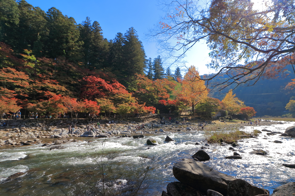 香嵐渓の紅葉