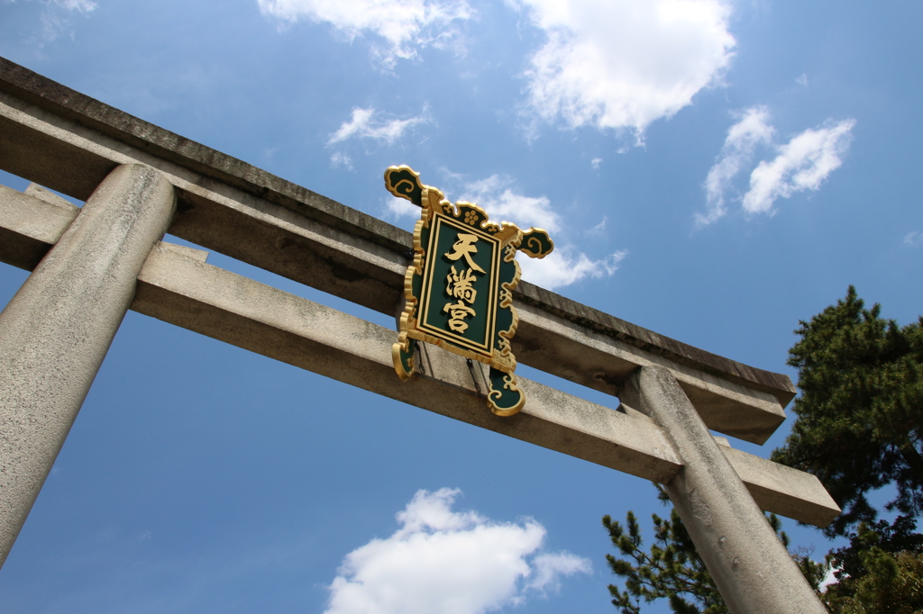 下ばかり見てたら気がつかない