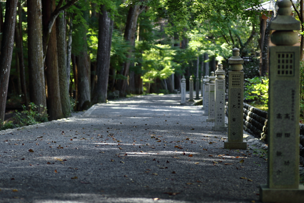 心静かに。。。