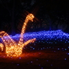 Electrical Swan