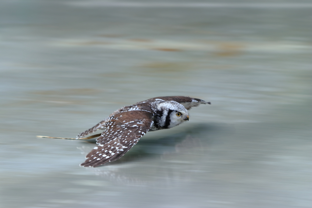 Low altitude flying