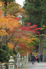 晩秋の紅葉狩り