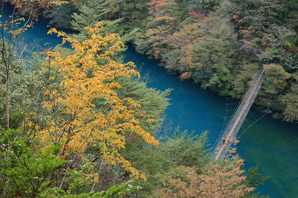 チンダル湖と吊り橋