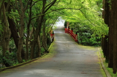 泉涌寺